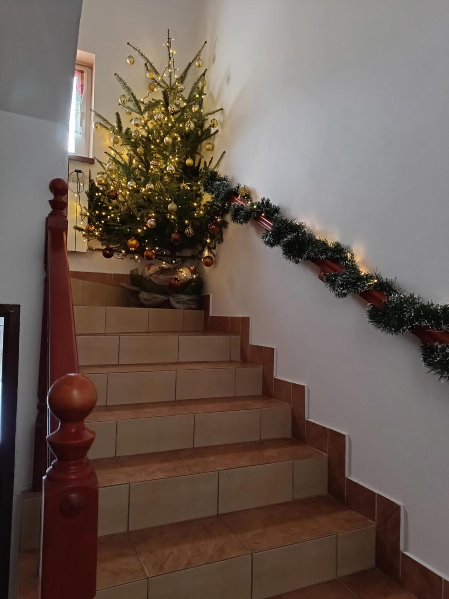 Noclegi U Brody Hoczew Ngoại thất bức ảnh